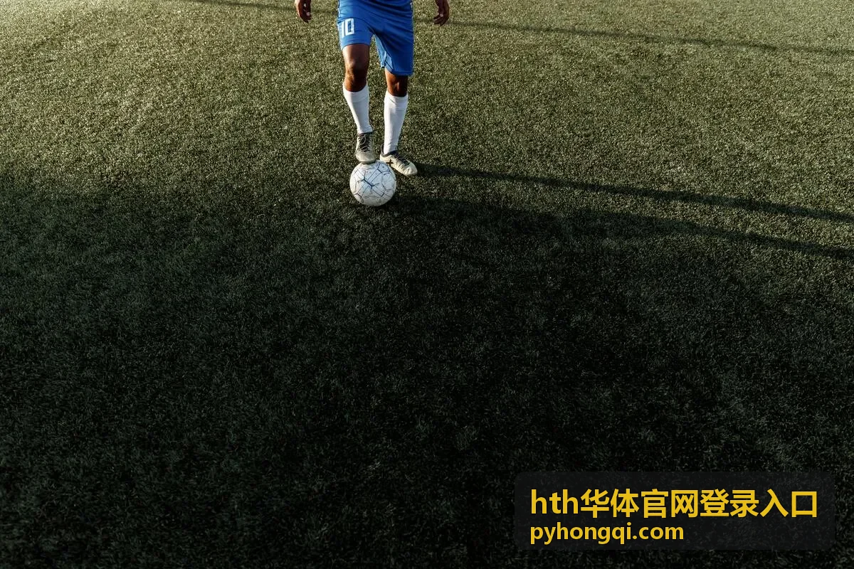hth华体官网登录入口手机浏览器访问场景