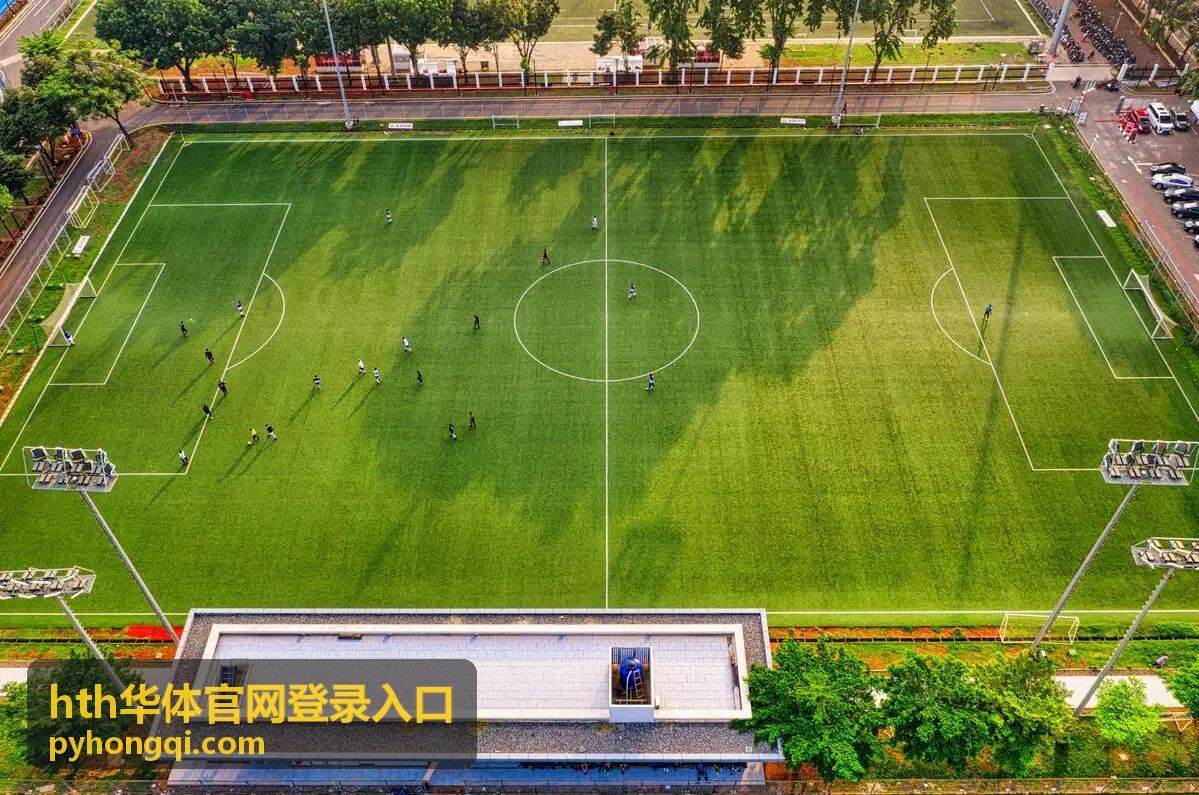hth华体官网登录入口更换设备后的访问场景