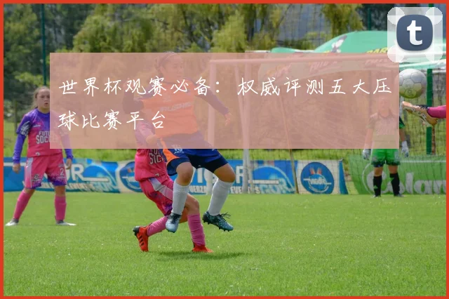 世界杯观赛必备:权威评测五大压球比赛平台