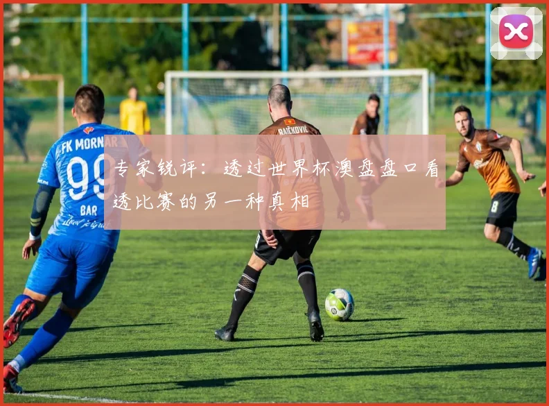 专家锐评:透过世界杯澳盘盘口看透比赛的另一种真相