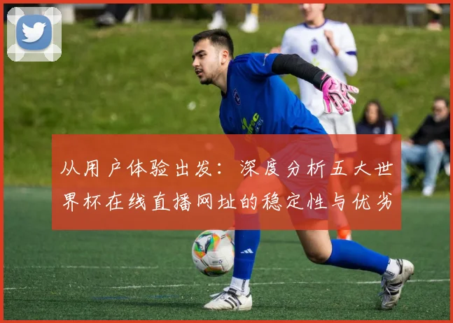 从用户体验出发:深度分析五大世界杯在线直播网址的稳定性与优劣