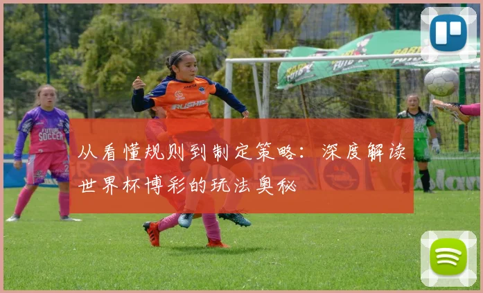 从看懂规则到制定策略：深度解读世界杯博彩的玩法奥秘