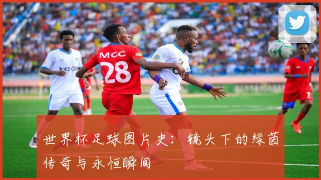 世界杯足球图片史：镜头下的绿茵传奇与永恒瞬间